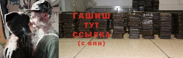 прущие грибы Верхний Тагил