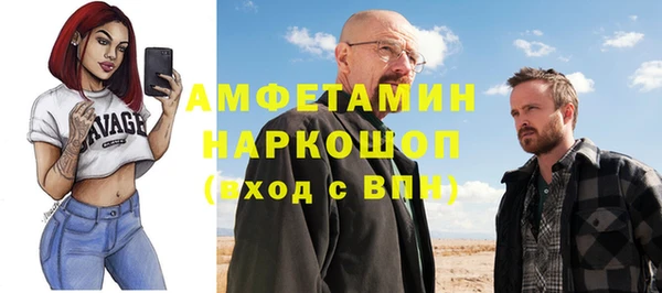 прущие грибы Верхний Тагил