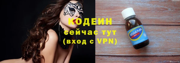 прущие грибы Верхний Тагил