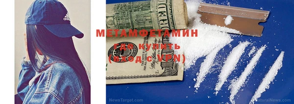 прущие грибы Верхний Тагил