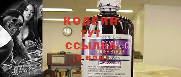 прущие грибы Верхний Тагил