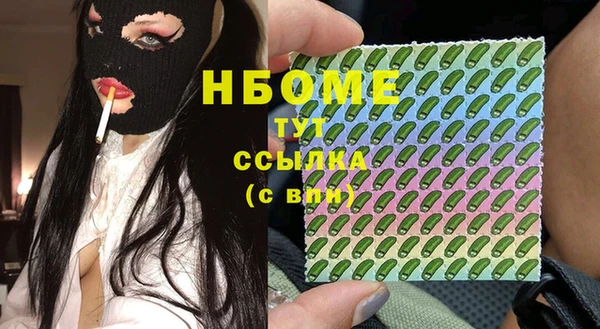 прущие грибы Верхний Тагил