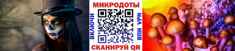 Псилоцибиновые грибы ЛСД  наркошоп  Владикавказ 